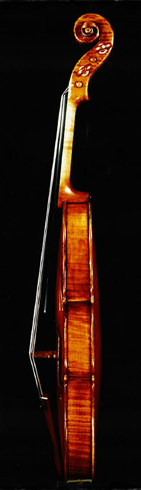 profil du violon de Guarnerius le Goodman